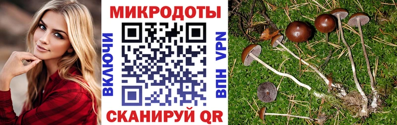 как найти закладки  Харабали  ссылка на мегу зеркало  Псилоцибиновые грибы Magic Shrooms 